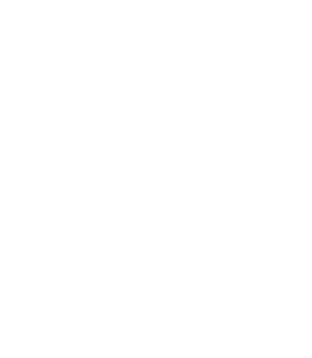 EPIC Footer Logo